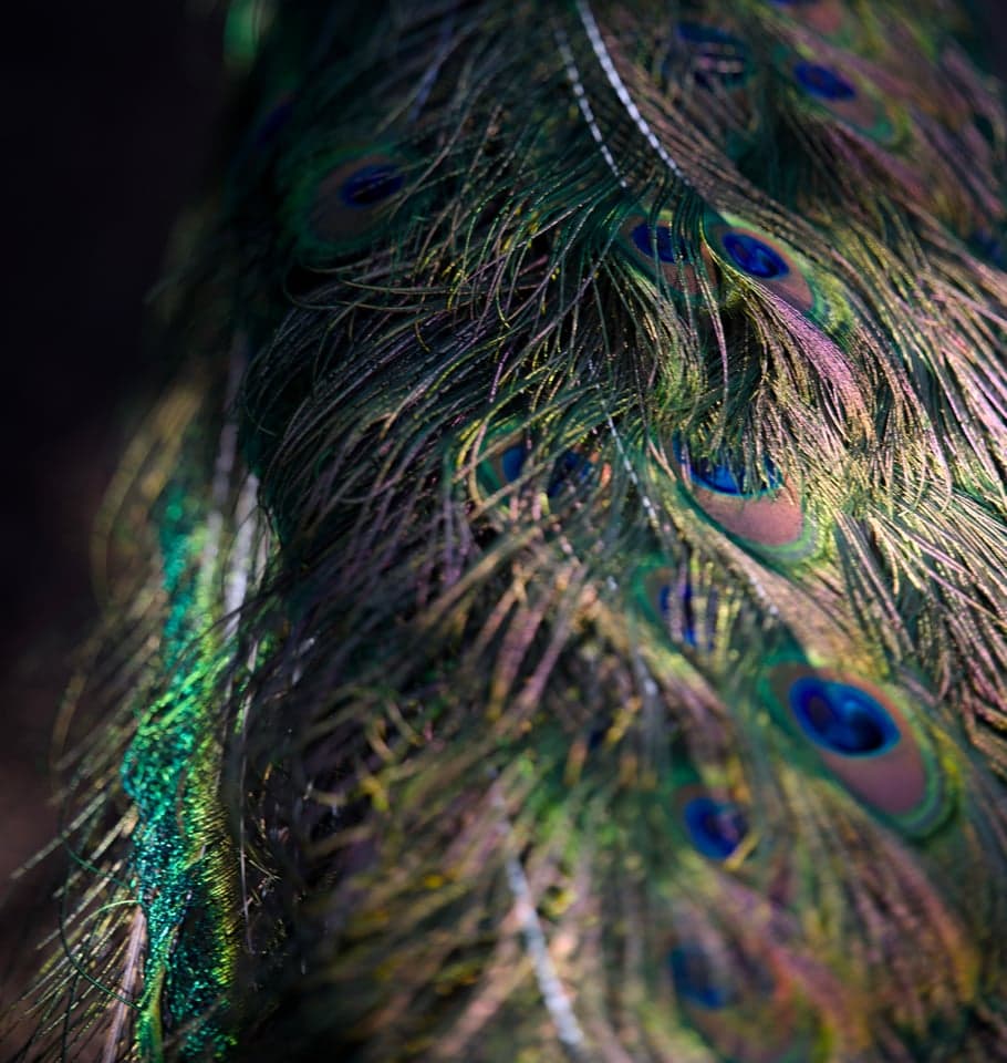 Campaign creative production — professional photography and video for advertising